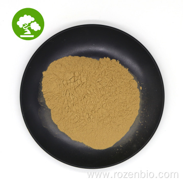 100% Natural Witch Hazel Extract Powder